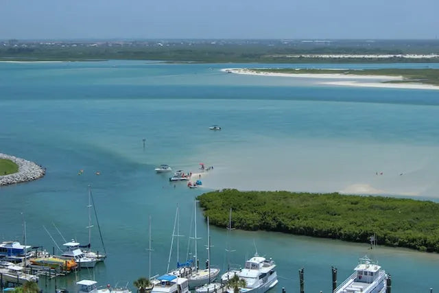 The Geology & Paleontology of Florida - The Guide to the Southernmost State Part 5 Learn About Prehistoric Florida