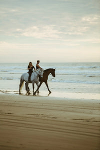 Horsing Around on Amelia Island! Saddle up, pardner...