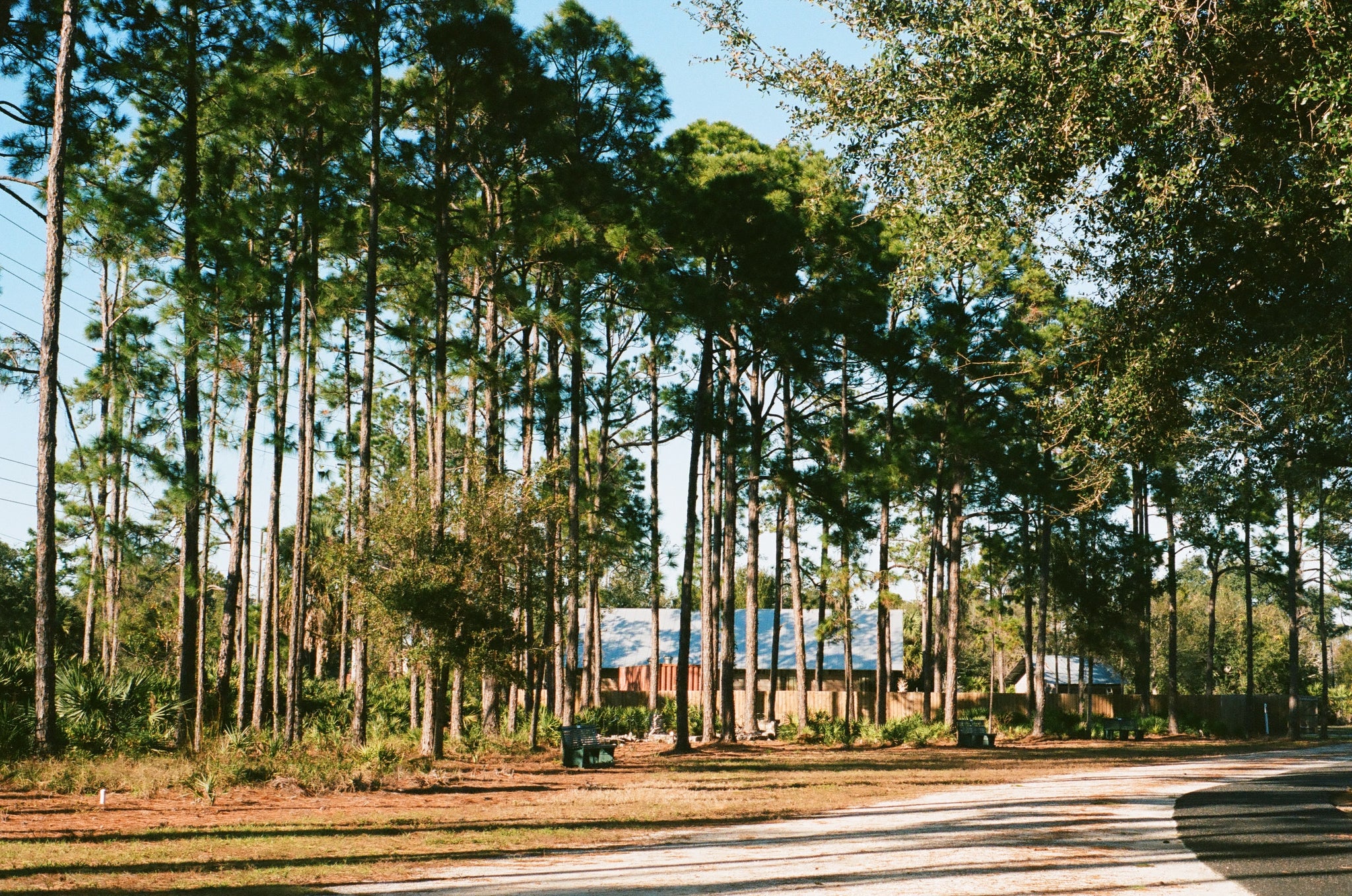 Experience the Hidden Gem of Calhoun County, Florida!