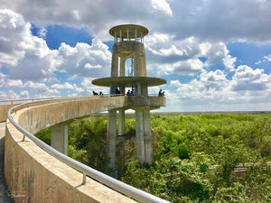 Biking Shark Valley off Tamiami Trail - During the Day & During a Full Moon!