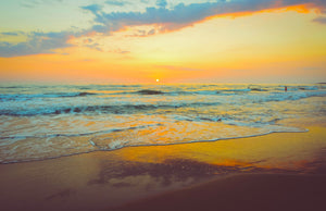 Beautiful and Diverse Bay County, Florida