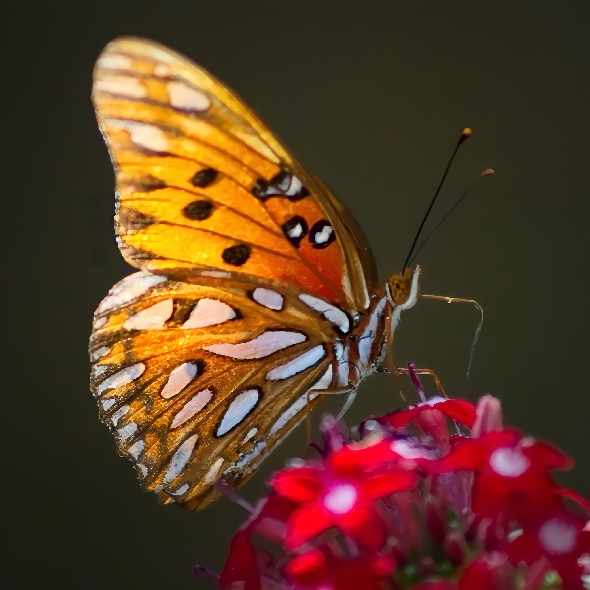 Visit the Blue Sink in Hamilton County, Florida!