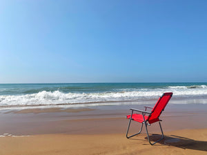 Hernando County: The Perfect Combination of Old Florida and New Florida