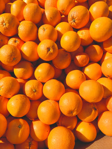 Top Ten Things to Do in Citrus County, Florida!