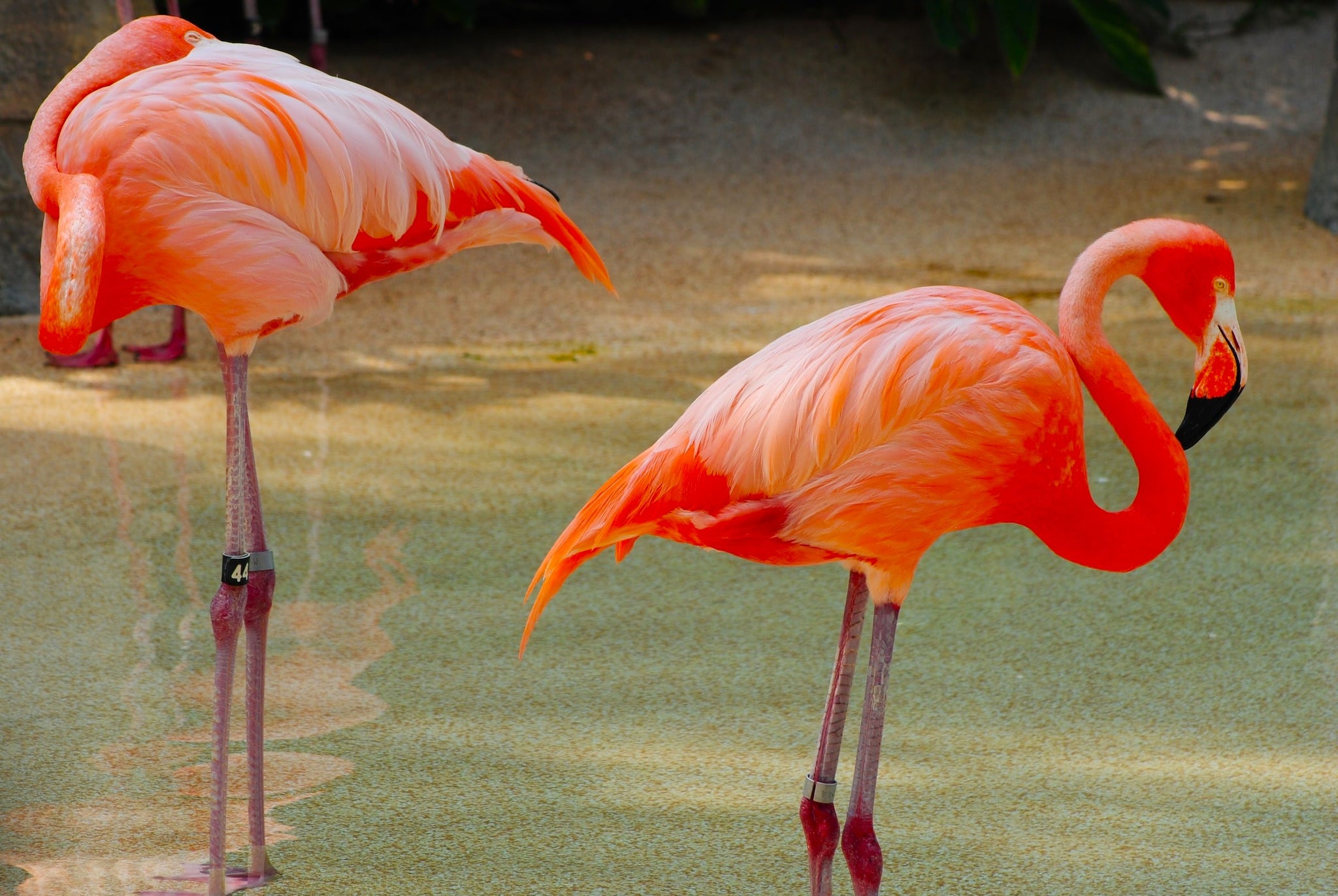 World Famous Miami-Dade County, Florida!