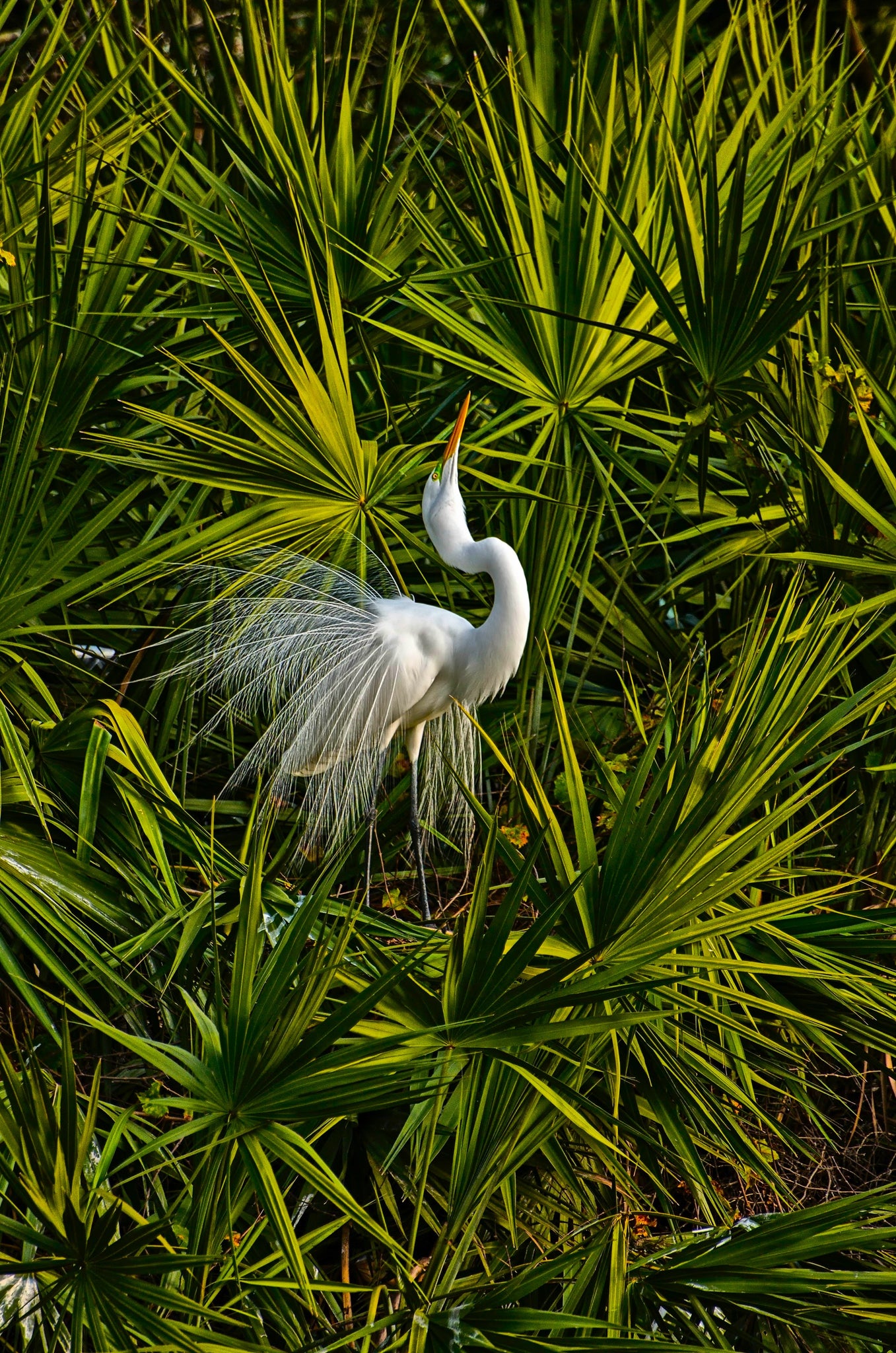 Laid-Back Santa Rosa County, Florida!