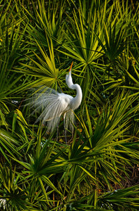 Laid-Back Santa Rosa County, Florida!