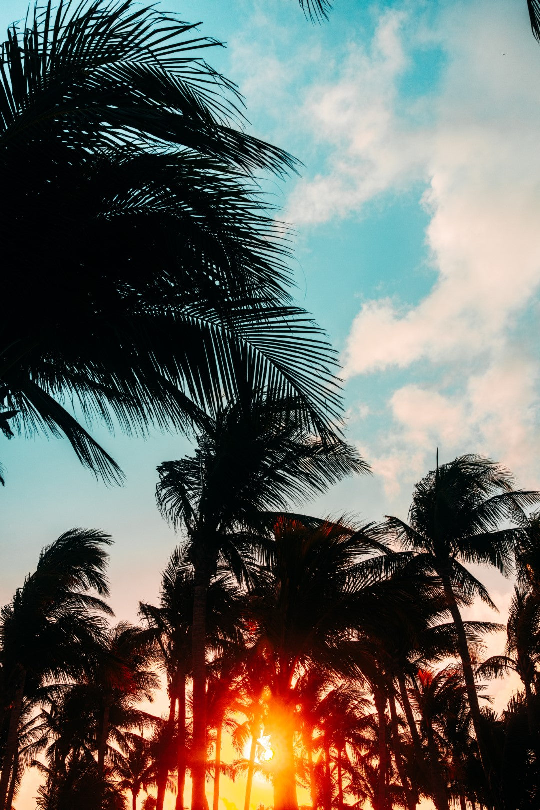 Top Ten Things top Do in Sanford & Seminole County, Florida!