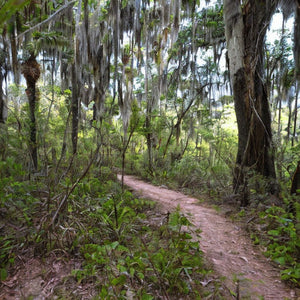 St. Marks National Wildlife Refuge & More in Wakulla County, Florida!