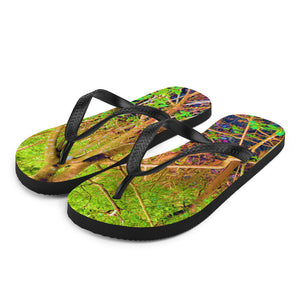 The Mangrove Flip-Flops