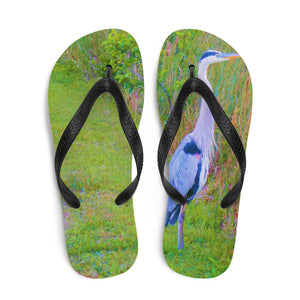 The Great Blue Heron Flip-Flops