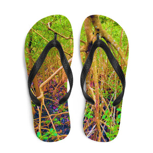 The Mangrove Flip-Flops