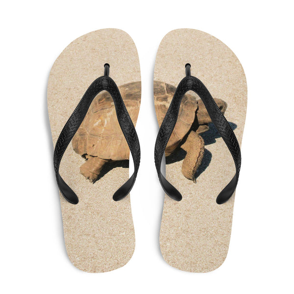 Tortoise flip online flops