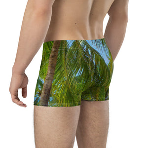 Palm Frond Boxer Briefs