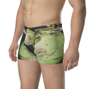 Strut Your Coconuts with Our Coconut Boxer Briefs
