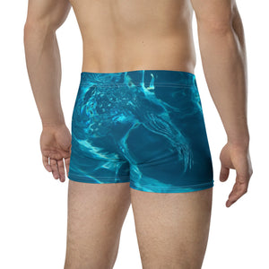 Stay Comfy and Stylish with Our Blue Pool Florida Boxer Briefs