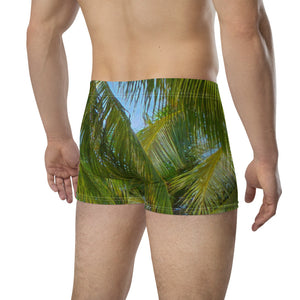 Palm Frond Boxer Briefs