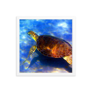 Turtle Tranquility Framed Poster: Florida's Marine Grace Captured