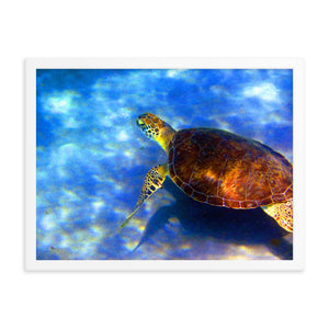 Turtle Tranquility Framed Poster: Florida's Marine Grace Captured