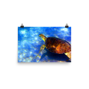 Turtle Trek Poster: Dive into Florida's Underwater Wonderland