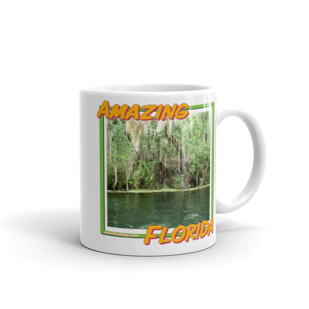 The Amazing Florida Mug